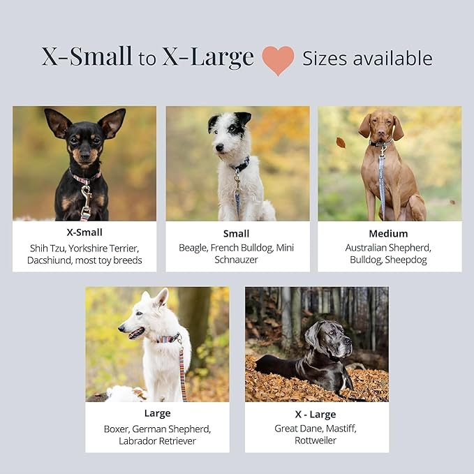 Lucky Love Dog - Adjustable Dog Collar with Easy Click Buckle for Small to Large Dogs, Durable, & Comfortable for Male & Female Dogs, Pet Collar for Puppies & Adult Ones - Linus, Large