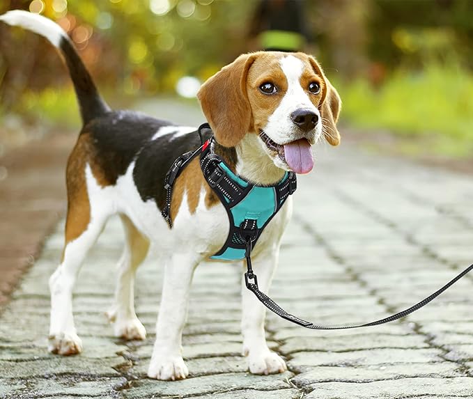 PoyPet No Pull Dog Harness, No Choke Front Clip Dog Reflective Harness, Adjustable Soft Padded Pet Vest with Easy Control Handle for Small to Large Dogs(Mint Blue,L)