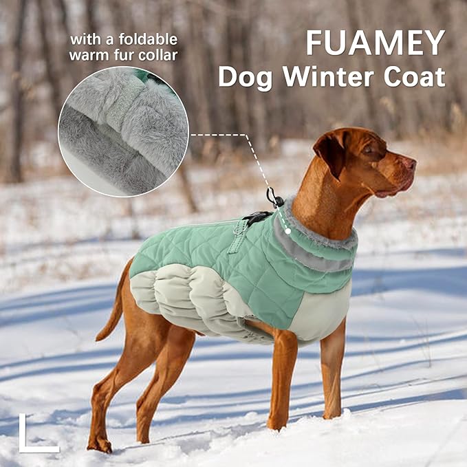 FUAMEY Dog Winter Jacket, Padded Dog Vest with Harness, Water Resistant Coat for Small to Large Dogs, Mint Green XS