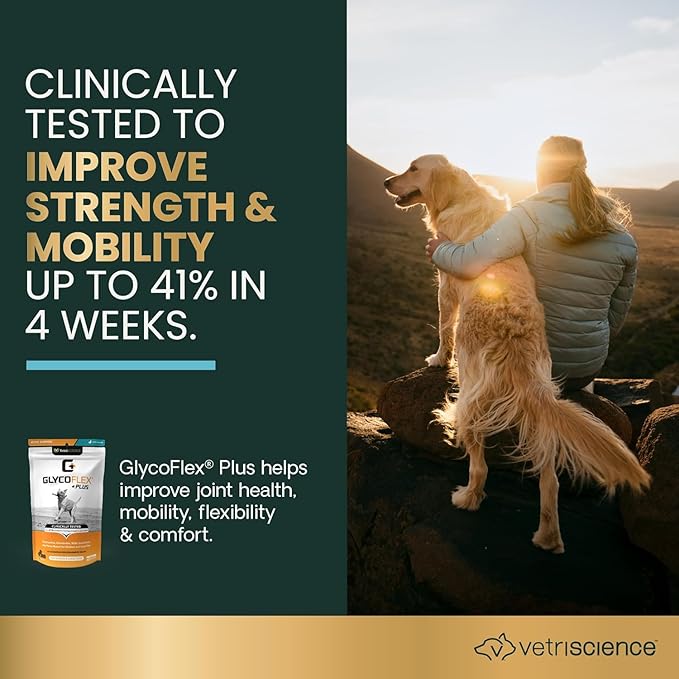 VetriScience GlycoFlex Ultimate Strength Healthy Hip & Joint Glucosamine Supplements for Dogs, with MSM, Chondroitin & Green-Lipped Mussel, Soft Chews, Bacon, 120 Count - New Look