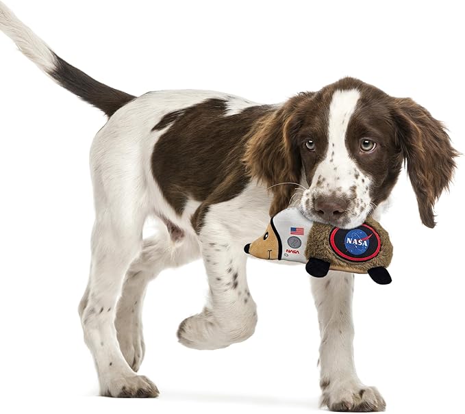 NASA Plush Hedgehog Toy for Dogs & Cats, Cool Soft Pet Toy for Fun and Interactive Play, Dog Chew Toy with Squeaker