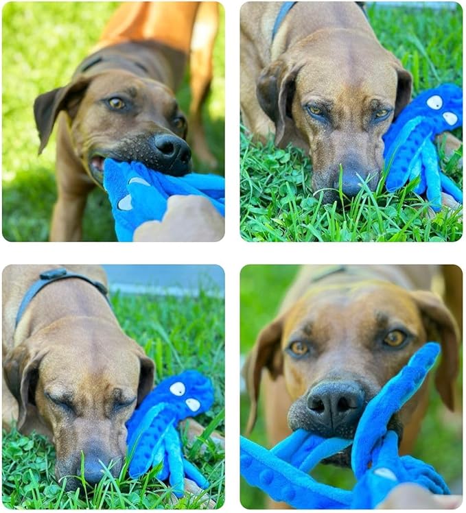 Think Pets Crinkle Squeaky Plush Octopus Toys for Playing & Training Purposes. Entertain Your Dog/Cat with These Plushie Stuffing-Free Interactive Toys, a Perfect Blend of Fun & Functionality