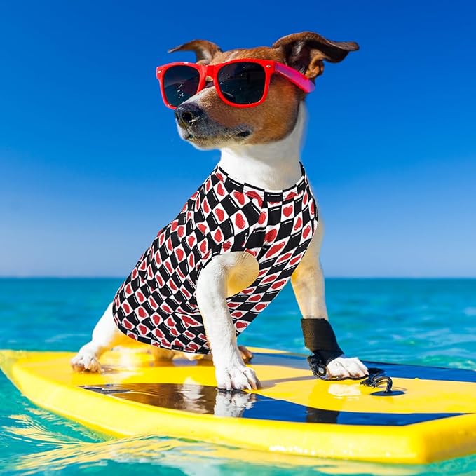 Dog Cooling Vest, Quick Dry Dog Summer Clothes Pet Vest Puppy Shirts, Sleeveless Dogs Cooling T-Shirts for Small Medium Large (Red Heart+Blue Heart, XS)