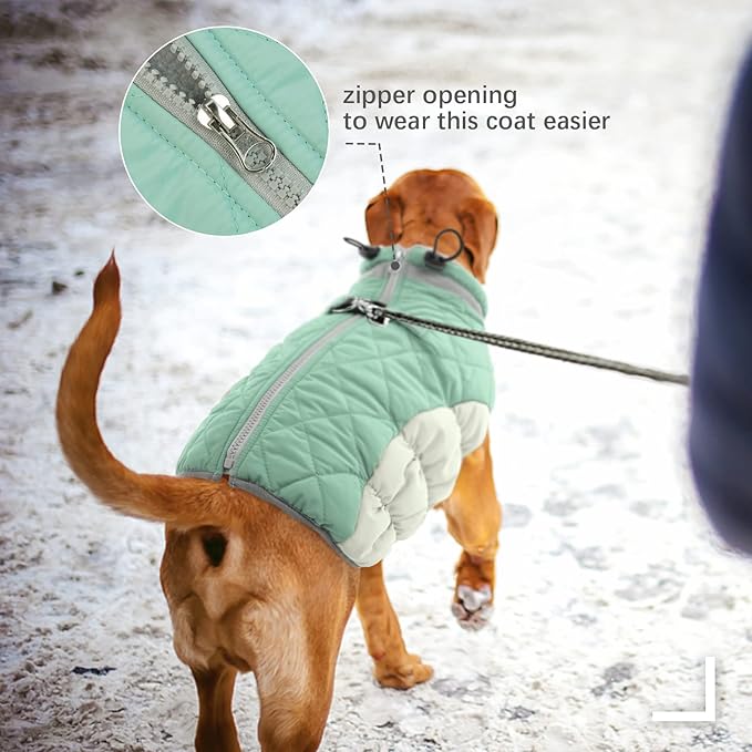 FUAMEY Dog Winter Jacket, Padded Dog Vest with Harness, Water Resistant Coat for Small to Large Dogs, Mint Green XS