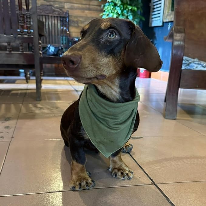 Premium Solid Olive Dog Bandana, Luxury Soft Cotton Adjustable Triangle Scarf for Large Dogs, Comfortable, Stylish, and Customizable for All Seasons, Dog Accessories