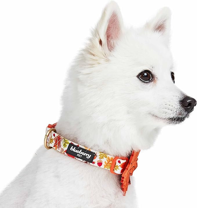 Blueberry Pet Adjustable Thanksgiving Dog Collar - Medium 14.5"-20" Neck, Perfect Puppy Collar for Fall, Maple Décor, Dog Collars for Small Dogs, Ideal for Family Photos & Matching Outfits