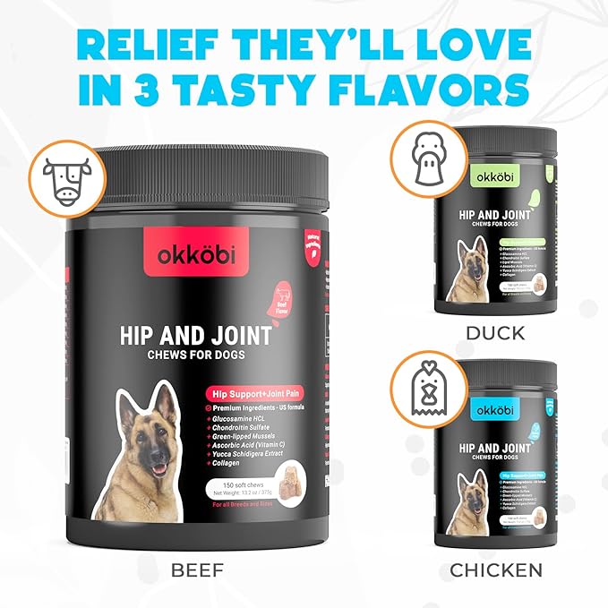 Glucosamine HCL & Hip and Joint Supplement for Dogs - 150 pcs - Hip and Joint Chews for Dogs - Vet Approved US Formula with MSM & Green Lipped Mussel - Beef