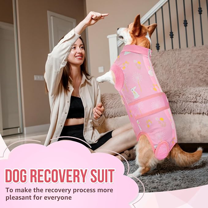 Lukovee Recovery Suit for Dogs, Zipper On Recovery Suit for Female Male Dog, Onesie Abdominal Wounds Cone E-Collar Alternative Prevent Licking Spay Recovery Suit (Small, A-Pink)