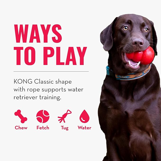 KONG Aqua Floating Fetch Toy - Dog Floating Toy for Water Retrieval, Play, Exercise & More - Natural Rubber Dog Toy with Foam Interior & Rope for Farther Throwing - Orange, for Large Dogs