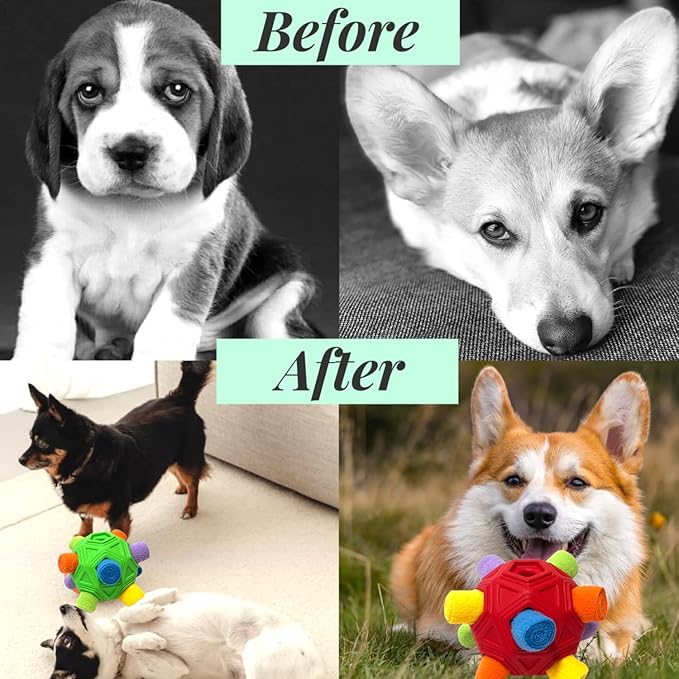 Snuffle Ball for Dog Toys Unbreakable Upgrade Ball Interactive Toy Foraging Snuffle Mat Puppy Treat Dispenser Slow Feeder Dog Puzzle Toys for Small, Medium, Large Pets (Green Rainbow)