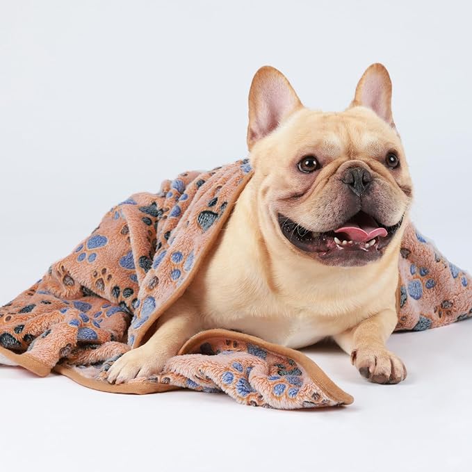 1 Pack 3 Blankets Super Soft Fluffy Premium Fleece Pet Blanket Flannel Throw for Dog Puppy Cat Paw Brown/Pink/White Large(41x31 inch)