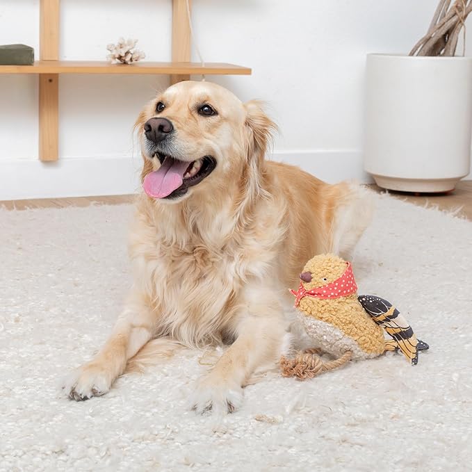 Fringe Studio "MS Birdie Mixed Material Dog Toy, Exclusive Artwork by Madison Safer, PetShop Collection (765005)