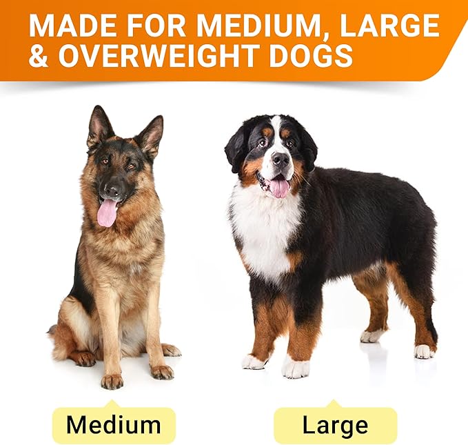 Senior Advanced Glucosamine Joint Supplement for Dogs - Hip & Joint Pain Relief - Small + Large Breeds -Omega-3 Fish Oil - Chondroitin, MSM- Mobility Soft Chews for Older Dogs - Chicken Flavor - 240Ct