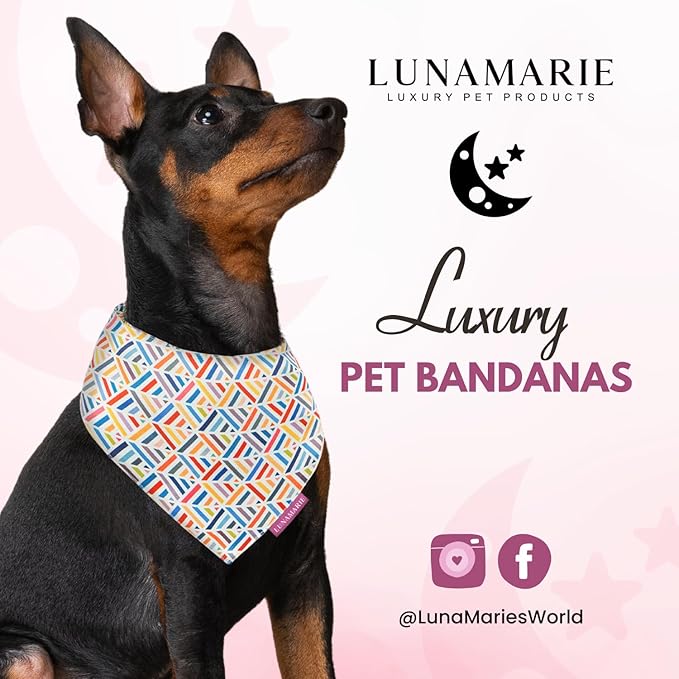 Luxury Pet Birthday Bandanas -Premium & Silky Poly Fabric | 100% Handmade | Custom Shape Dual Layered (Xena, Medium)