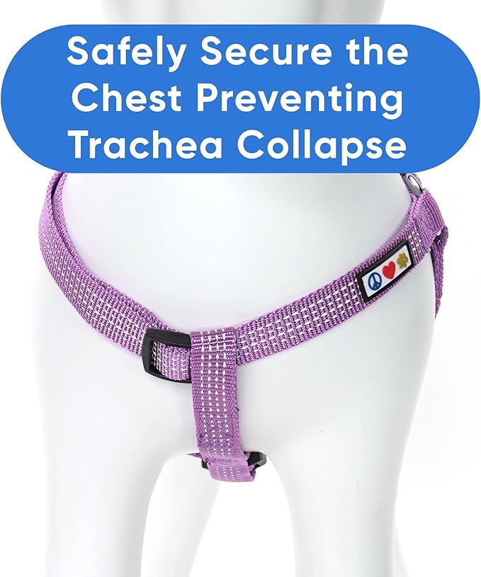 Pawtitas Extra Small Dog Harness Orchid Purple Dog Harness Step in from a Senior Dog to a Puppy Harness Adjustable Reflective Dog Harness XS Reflective Dog Vest