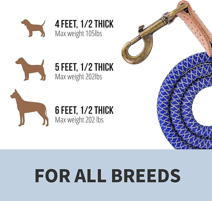 Mile High Life Reflective Dog Leash, Strong Nylon Dog Rope Heavy Duty Dog Training Leashes for Small Medium Large Dogs, Heavy Duty Climbing Rope Dog Leash w Leather Tip(Blue, 60 Inch)