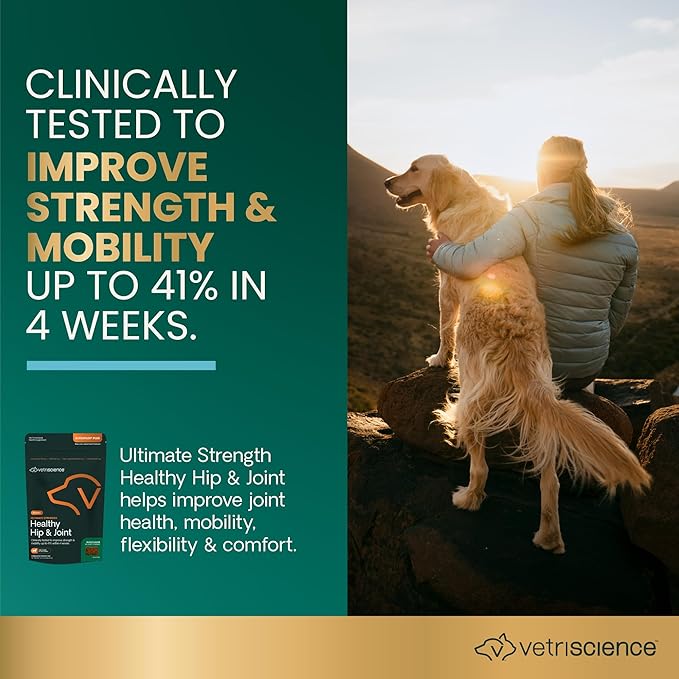 VetriScience GlycoFlex Ultimate Strength Healthy Hip & Joint Glucosamine Supplements for Dogs, with MSM, Chondroitin & Green-Lipped Mussel, Soft Chews, Duck, 60 Count - New Look