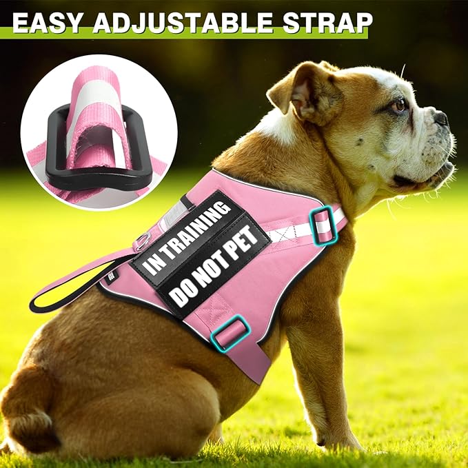 Service Dog Harness and Leash Set, Training Dog Vest with 10 Dog Patches, Emotional Support Therapy Dog Vest Harness for Small Medium Large and Extra Large Dogs(Pink, L)