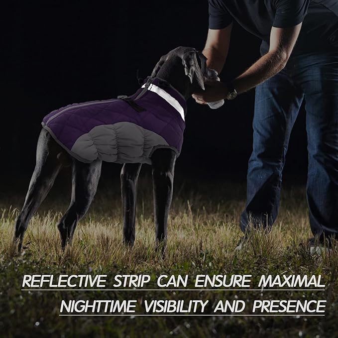 FUAMEY Warm Dog Jacket, Winter Coat with Padded Fleece, Reflective Vest, Built-in Harness, Waterproof & Windproof, Purple, Large