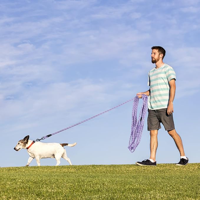 Long Dog Leash for Training 30Ft-Reflective Nylon Rope with Swivel Hook-Recall Agility Lead for Large Small Medium Dogs Outside Walking Hiking-Purple