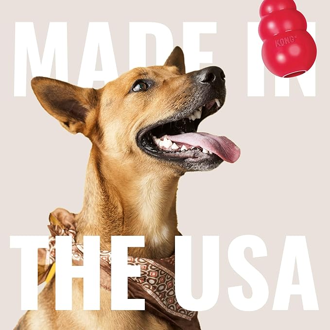 KONG Aqua Floating Fetch Toy - Dog Floating Toy for Water Retrieval, Play, Exercise & More - Natural Rubber Dog Toy with Foam Interior & Rope for Farther Throwing - Orange, for Large Dogs