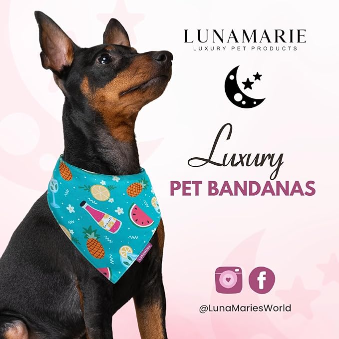 Luxury Pet Birthday Bandanas -Premium & Silky Poly Fabric | 100% Handmade | Custom Shape Dual Layered (Sippin' Poolside, Small)