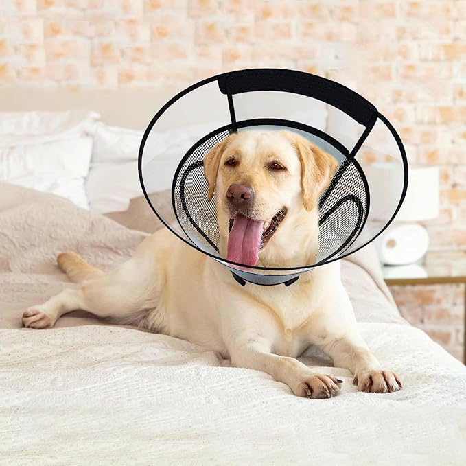 Dog Cone Collar for Large Dogs After Surgery, Mesh Windows PVC Transparent Dog Cone E Collar for Dog, Anti-Bite Lick Wound Healing Neuter Safety Practical Comfy Plastic Cone L