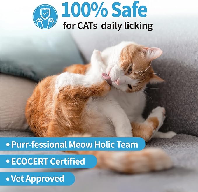 Mooncat Waterless Shampoo & Brush Kit for Longhair Cats | Complete Grooming System for Detangling, Deshedding & Matted Fur | Licking Safe No-Rinse Foam with Gentle Silicone Massager - Made in Taiwan
