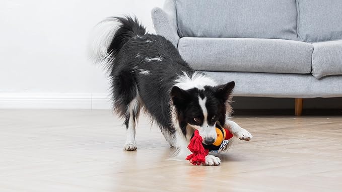 Dodo Treat Dispensing Dog Toy; Dodo Bird Dog Toy with Rope Legs for Chewing