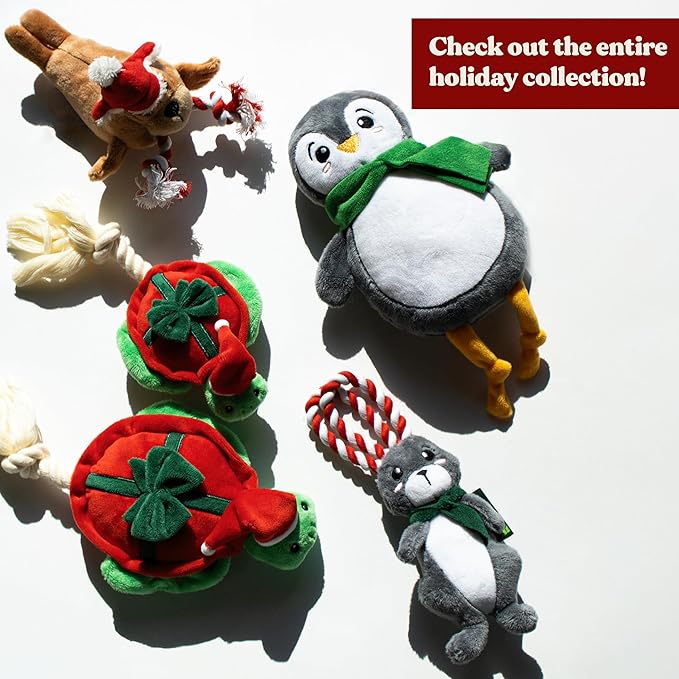 Holiday Collection Dog Toys | Small Sized Santa Walrus, Winter Hare, & Festive Turtle | Cute, Durable, & Sustainable Plush Chew Toys for Dogs | Christmas Stocking Stuffer Gift