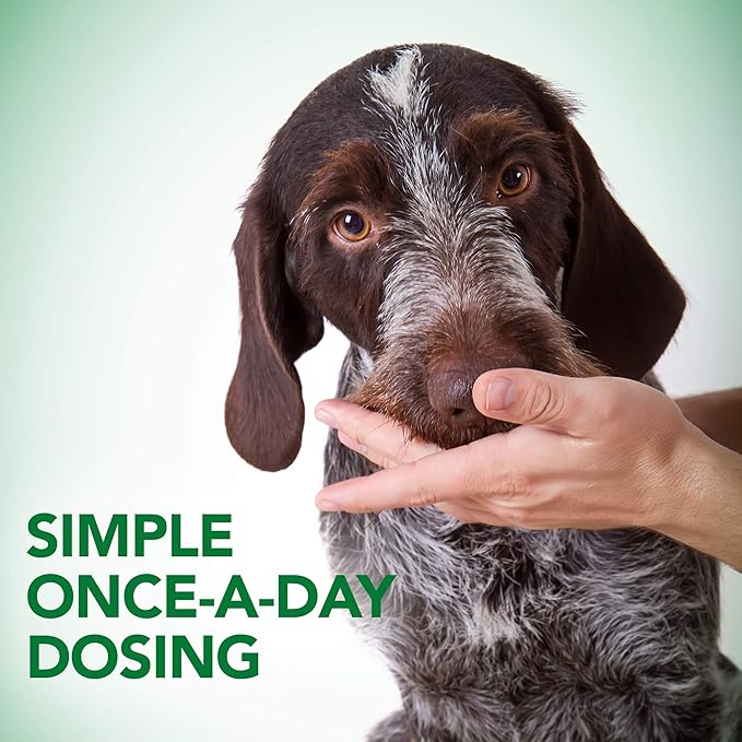 Vet's Best Probiotic Soft Chews Dog Supplement - Supports Dog Digestive Health - Promotes a Healthy Gut - 30 day supply