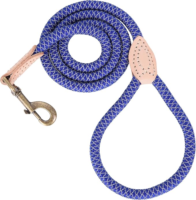 Mile High Life Reflective Dog Leash, Strong Nylon Dog Rope Heavy Duty Dog Training Leashes for Small Medium Large Dogs, Heavy Duty Climbing Rope Dog Leash w Leather Tip(Blue, 60 Inch)