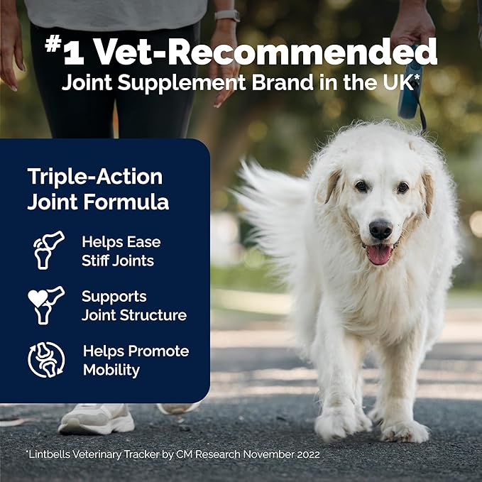 YuMOVE Hip and Joint Supplement - 240 Tablets with Glucosamine, Chondroitin, Omega 3, Hyaluronic Acid, Green Lipped Mussel, & Fish Oil for Dogs - Joint Support Supplement - Senior Dogs
