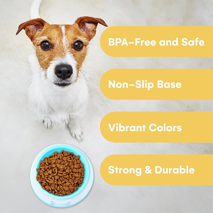 Noa Store Plastic Dog Feeding Station - Puppy Water Bowl Non-Spill - Accessories for Puppies - Double Layer Pet Bowl - Durable Hygienic Non-Skid Bowl - Blue