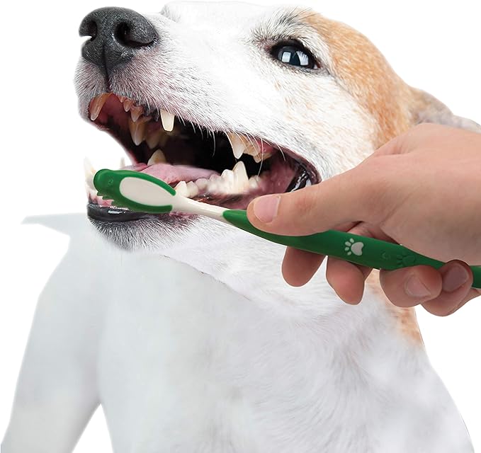 Nylabone Advanced Oral Care Natural Dog Dental Kit Peanut Flavor 2.5 oz.