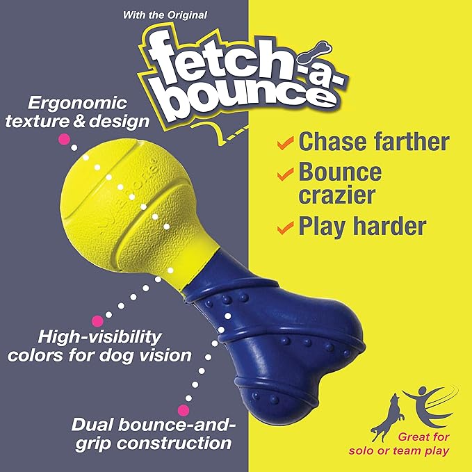 Nylabone Power Play Fetch-a-Bounce Interactive Play Toy, Fetch Toy for Dogs, Small (1 Count)