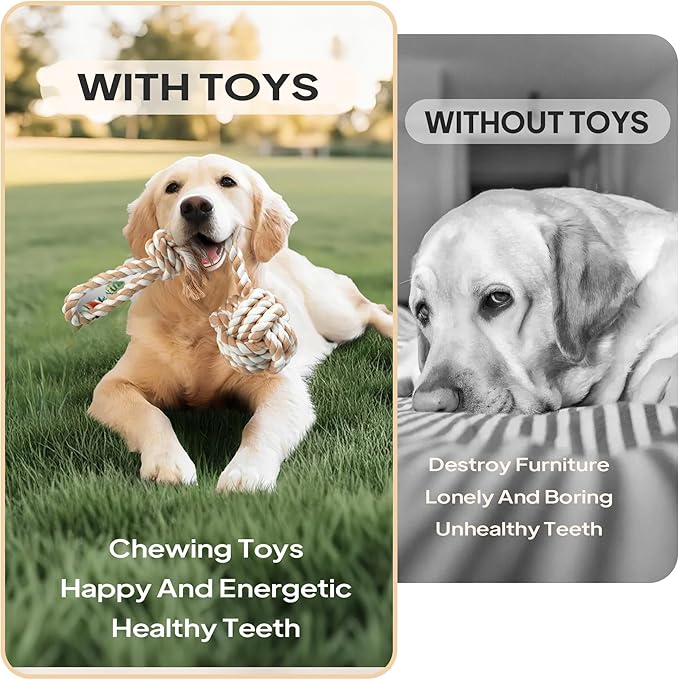 PetiFine Dog Rope Toys for Large Medium Dogs, 4 Pack Tough Chew Toys for Aggressive Chewers, Interactive Rope Ball Natural Cotton, Dog Tug of War Toy for Teeth Cleaning