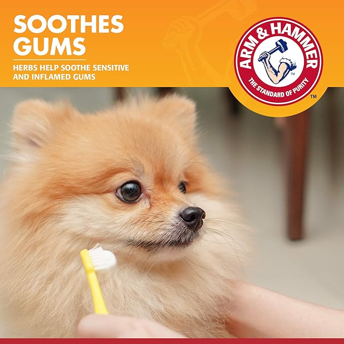 Arm & Hammer for Pets Clinical Care Enzymatic Toothpaste for Dogs Soothes Inflamed Gums Dog Toothpaste is Safe for All Dogs and Puppies, Chicken Flavor, 2.5 Ounces - 72 Pack (Pack of 72)