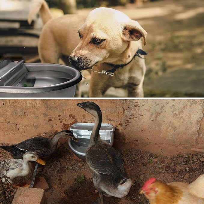 Automatic Dog Water Dispenser Large Size Dog Water Bowl Trough Stainless-Steel Outdoor Pet Waterer Feeder for Poultry, Goat, Small Livestock