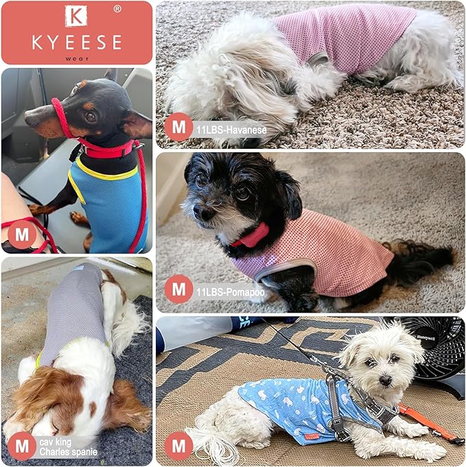 KYEESE 2 Pack Dog Cooling Shirts Quick Dry Instant Cooling Dog Vest for Small Dogs Breathable Sleeveless Vest Lightweight Soft Cooling Vest for Beach, Hiking, Walking on Summer