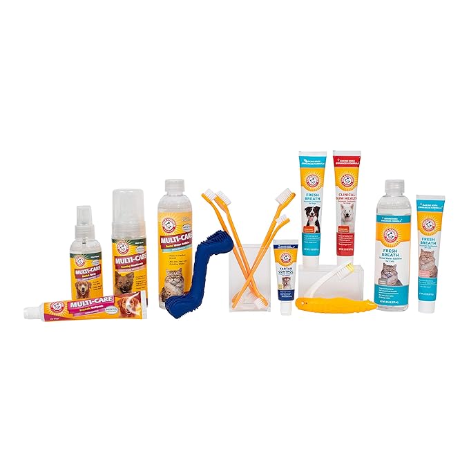 Arm & Hammer for Pets Tartar Control Enzymatic Toothpaste for Dogs Reduces Plaque & Tartar Buildup Safe for Puppies Beef Flavor, 2.5 Ounces Dog Toothpaste (Pack of 1)