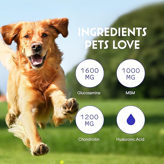 Premium Liquid Glucosamine for Dogs Strength Joint Support, Flexibility, Cartilage & Mobility - Hip and Joint Supplement with Chondroitin, MSM, Collagen & Hyaluronic Acid (32 Oz)