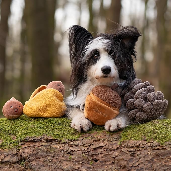 Plush Pinecone Dog Toys-Interactive, Squeaky, Snuffle, Treat Dispensing, Nose Work Game for Small and Medium Dogs