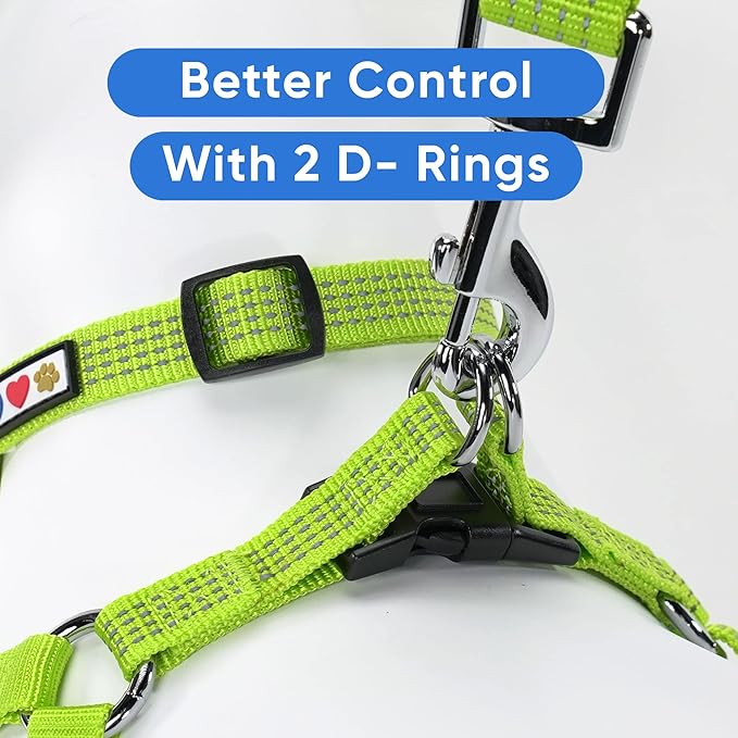 Pawtitas Medium Dog Harness - Adjustable, Reflective, Step-in Vest for Senior Dogs and Puppies - Green, Size S