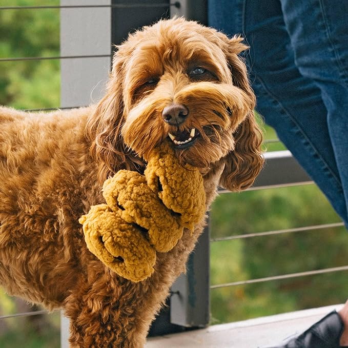 P.L.A.Y. Cute Plush Dog Toys - Coffee Shop Food Themed Durable Squeaker Chew Toy, Great for Puppies & Small, Medium, Large Dogs - Machine Washable, Recycled Materials (Pup Cup Cafe Cookies n' Treats)