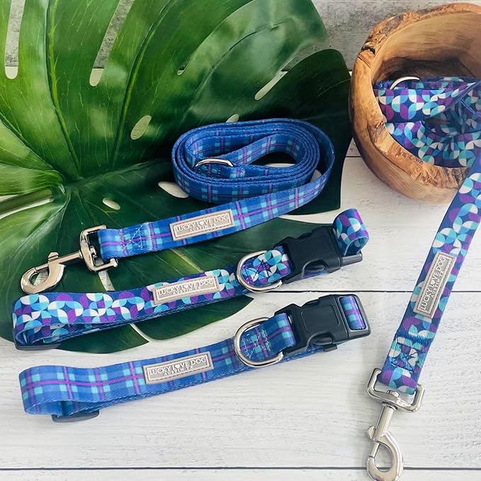 Lucky Love Dog - Adjustable Dog Collar with Easy Click Buckle for Small to Large Dogs, Durable, & Comfortable for Male & Female Dogs, Pet Collar for Puppies & Adult Ones - Jasper, XS