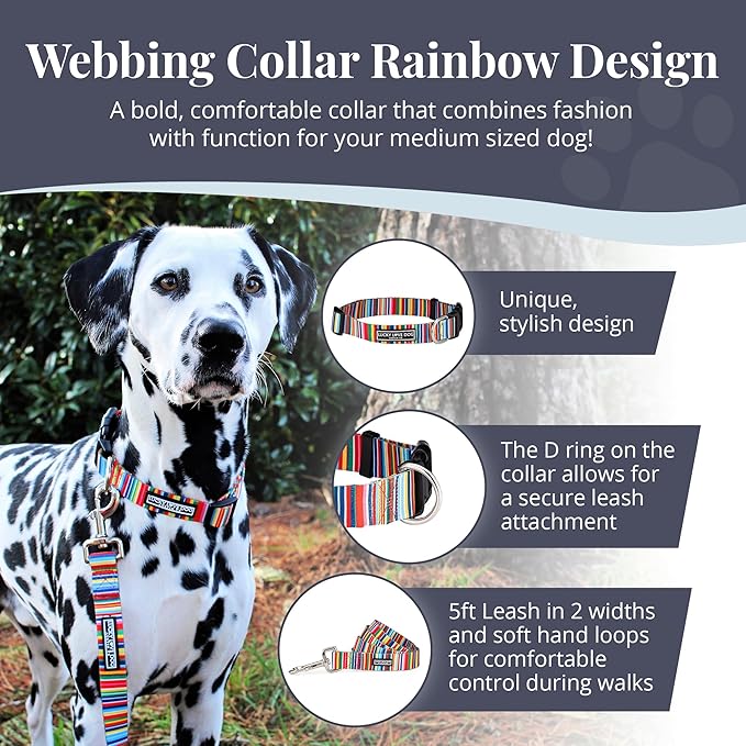 Lucky Love Dog - Adjustable Dog Collar with Easy Click Buckle for Small to Large Ones, Durable, & Comfortable for Male & Female Dogs, Pet Collar for Puppies & Adult Dogs - Hippie, Medium