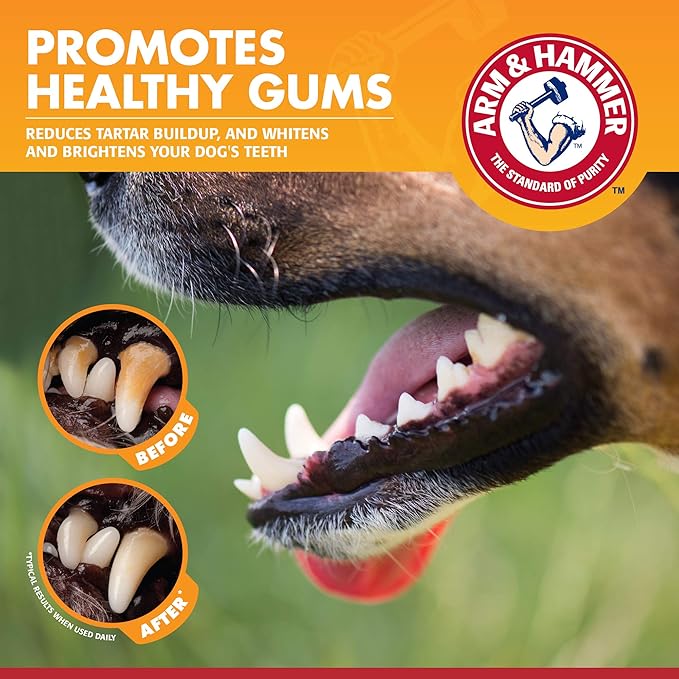 Arm & Hammer for Pets Clinical Care Enzymatic Toothpaste for Dogs Soothes Inflamed Gums Dog Toothpaste is Safe for All Dogs and Puppies, Chicken Flavor, 2.5 Ounces - 72 Pack (Pack of 72)