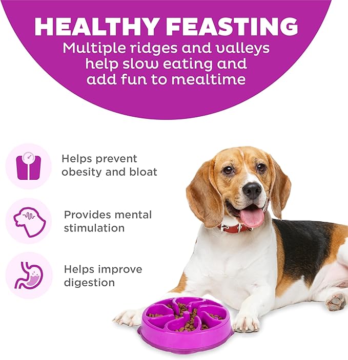 Outward Hound Fun Feeder Slo Bowl, Slow Feeder Dog Bowl, Medium/Mini, Purple