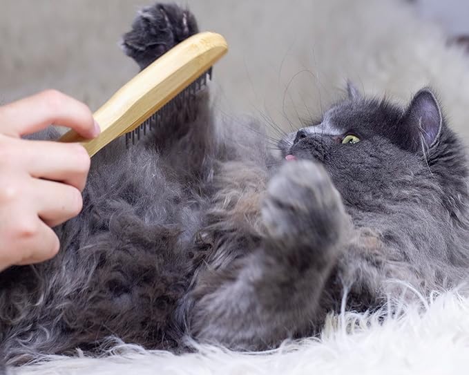 Premium Bamboo Cat Grooming Kit: Cat Brushes for Indoor Cats, Kitten Brush, and Dematting Comb for Long Haired Cats | Bamboo Grooming Supplies with kitten brush